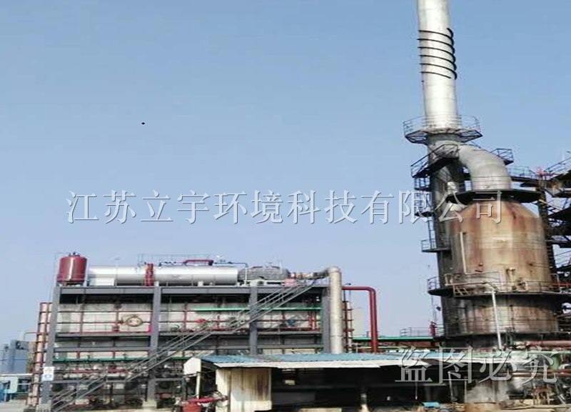 Treatment of organic waste gas in Zibo, Shandong